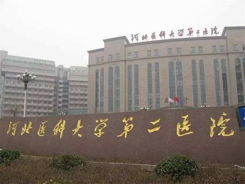 石家庄省3院是医科大学第3医院吗