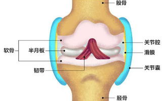 实施反颌矫正术损伤神经可能高吗